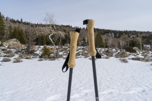 Gossamer Gear LT4 S Trekking Poles Review.jpg