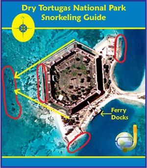 FDryTortugasSnorkelingMap.jpg