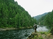 Selway River.jpg