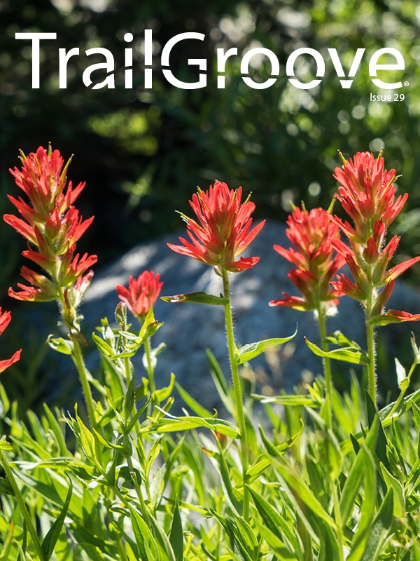 TrailGroove Backpacking and Hiking Magazine - Issue 29.jpg