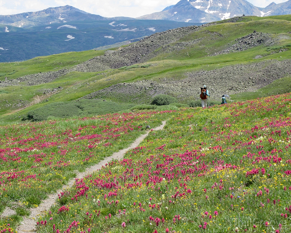 Colorado Trail Thruhike