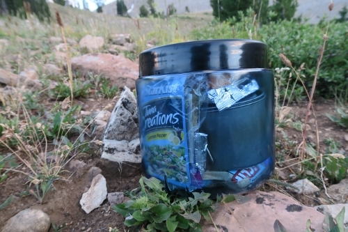 BearVault BV450 Solo Food Canister Review.jpg