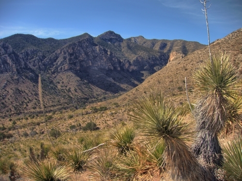 Guadalupe Mountains National Park, Texas Backpacking.jpg