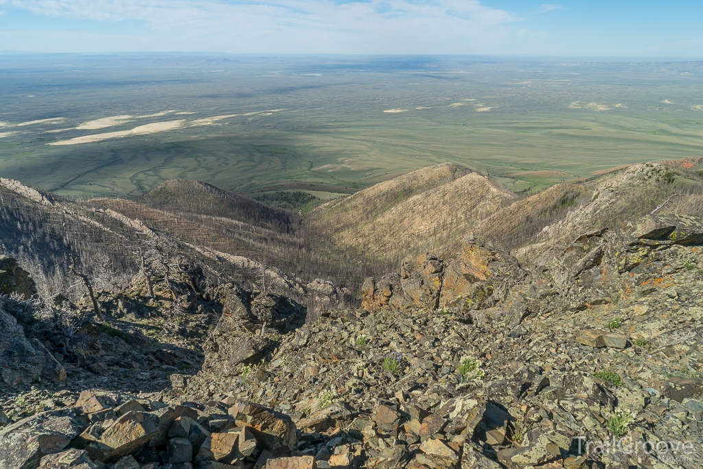 View after Summit of Ferris Peak Wyoming.JPG