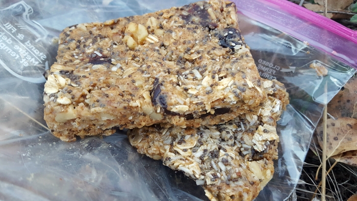 Homemade Energy Bars for Hiking.JPG