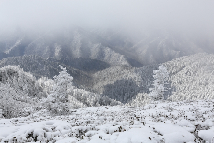 Photographing and Hiking in the Southern Appalachian Mountains.JPG