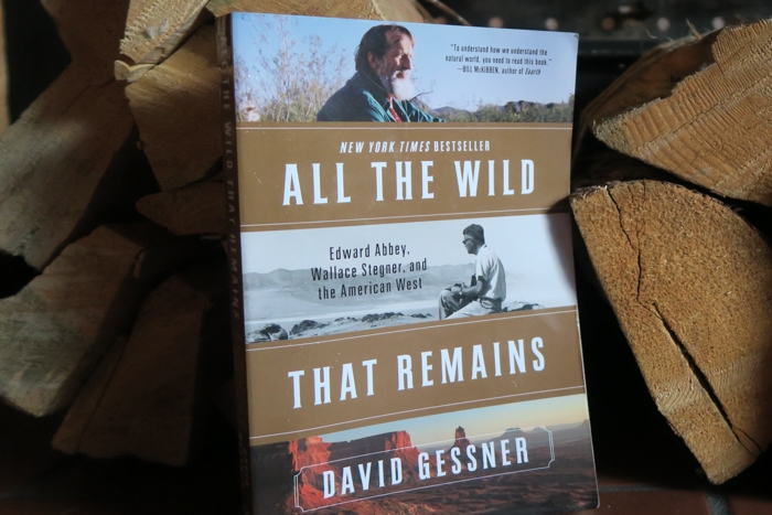 All the Wild That Remains Book Review - David Gessner.JPG