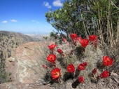 Chiricahua National Monument.JPG