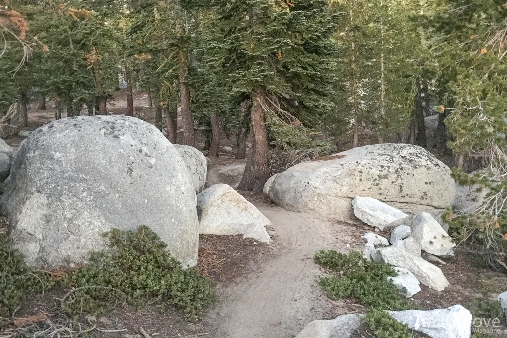 TRT Thruhiking-Boulders and Forest