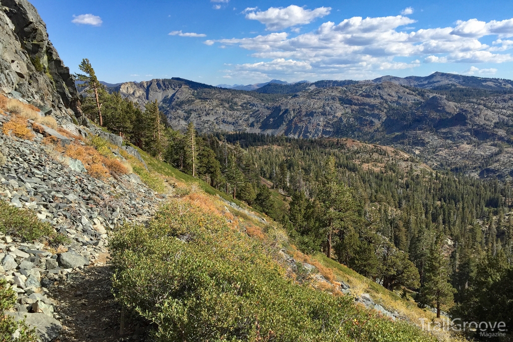 Hiking on the TRT Dicks Pass