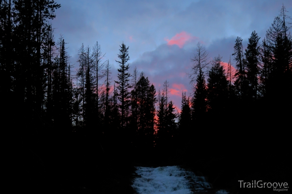 Sunset Through the Forest and Over the Creek