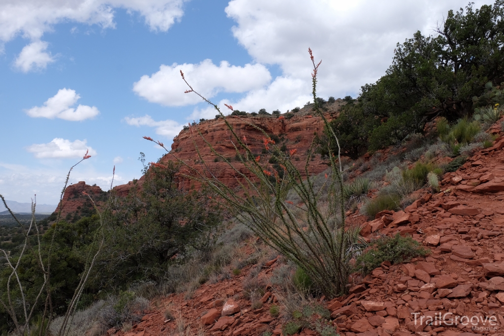 Hiking up Bear Mountain in Sedona Arizona