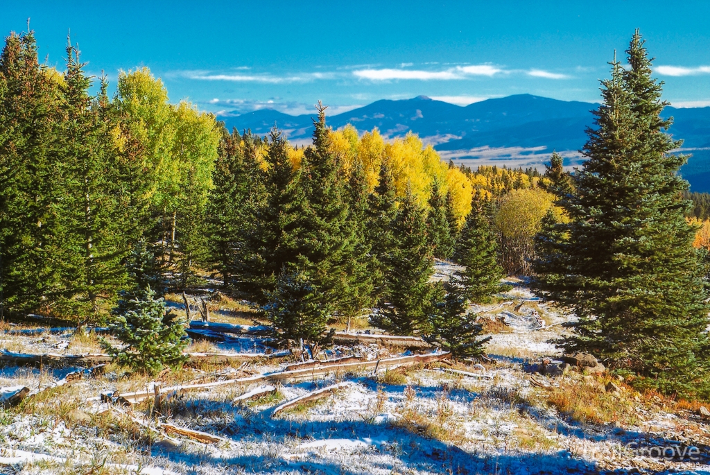 Late fall view from South Boundary Trail