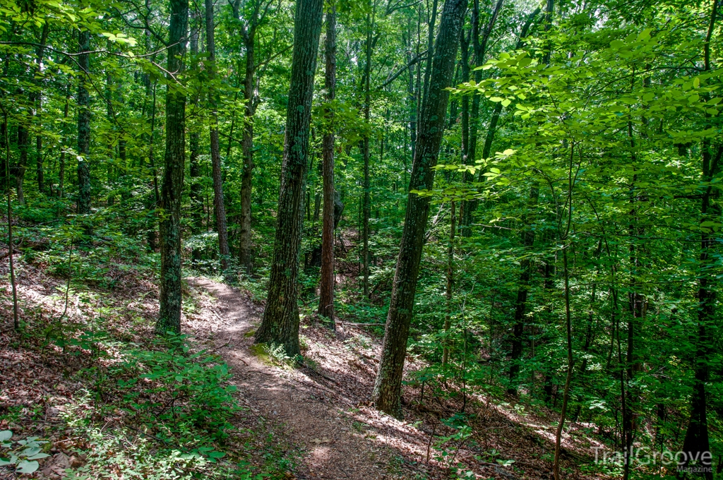 Berryman - Typical Berryman Trail