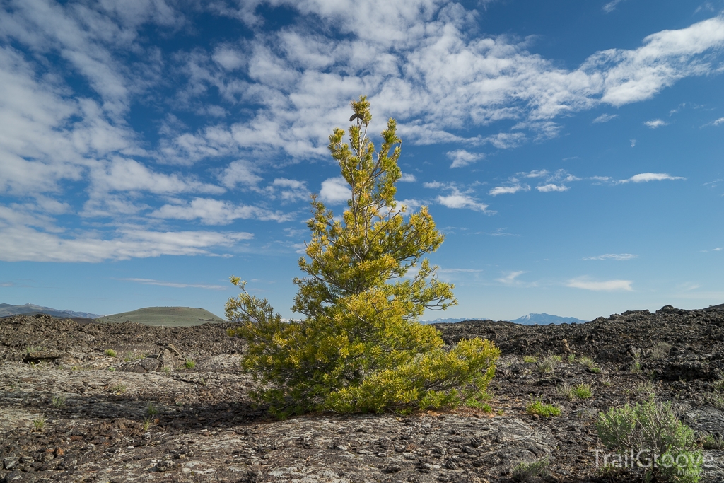 Wilderness Backpacking Ethics