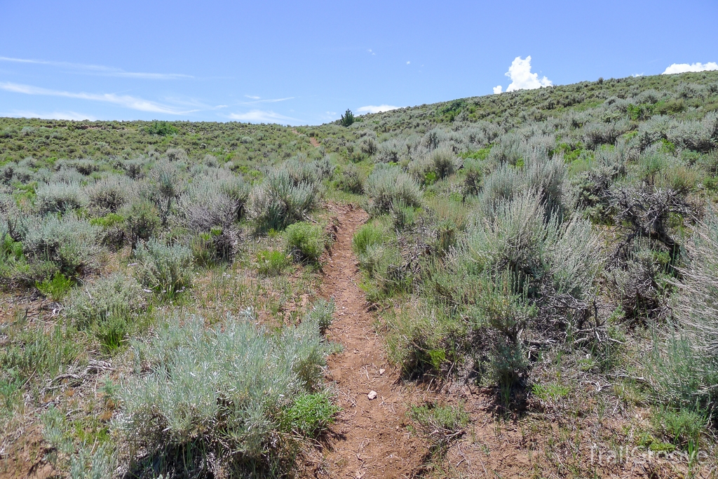 Sagebrush Trail During Tick Season Hiking