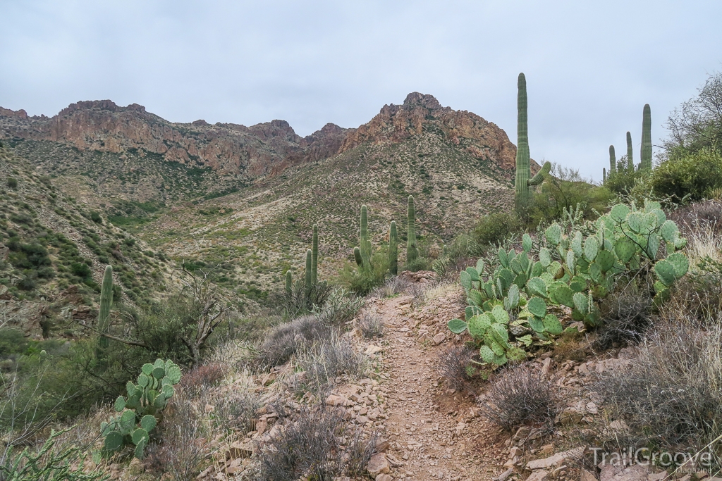 Hiking Through Mountain Scenery in the Desert Rain