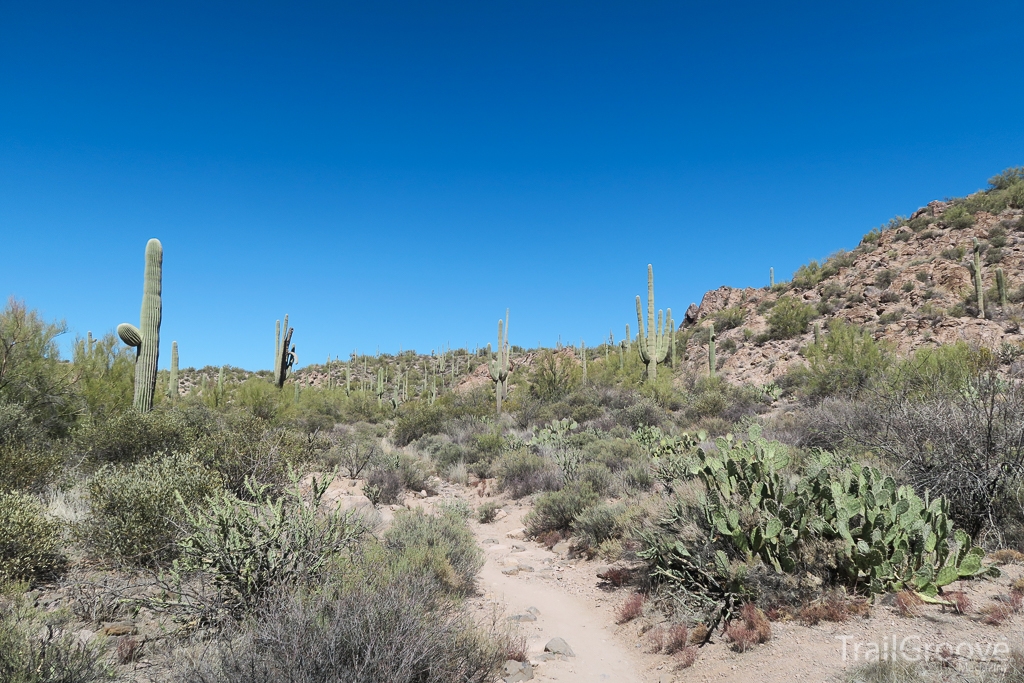 Loop Trail in the Superstitions of Arizona