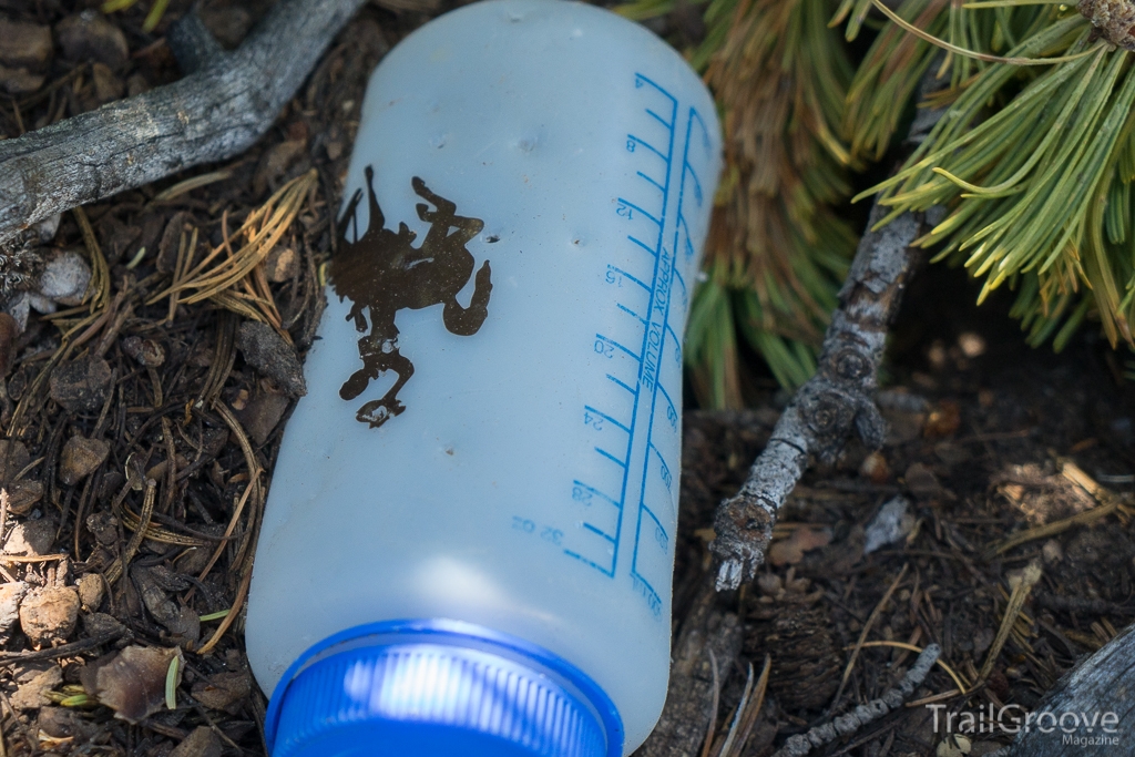 Bear Investigated Nalgene - Popo Agie Wilderness