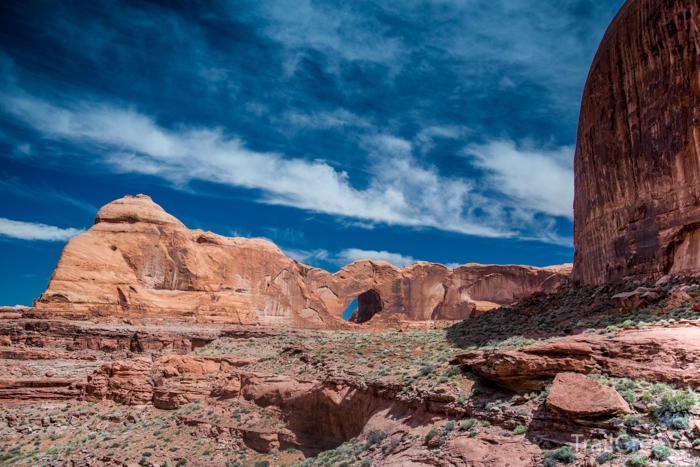 Stevens Arch and Backpacking Coyote Gulch Utah.JPG