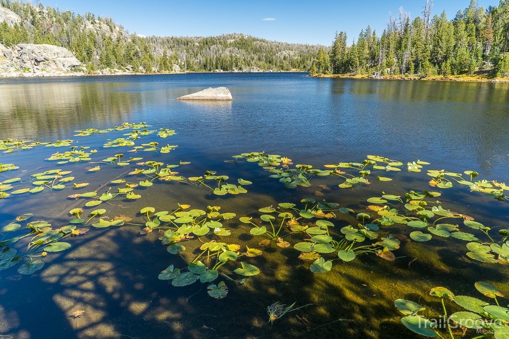 Natural Mosquito Repellent - Hiking and Backpacking with Herbal Armor