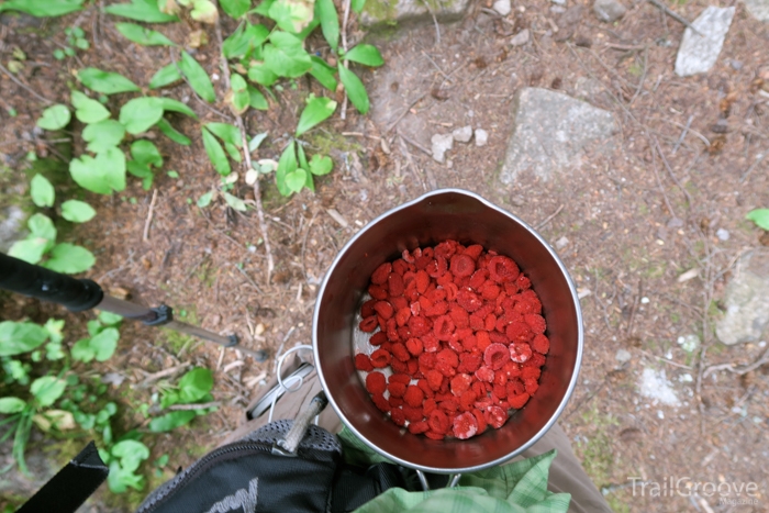 How to Pick Berries while Hiking