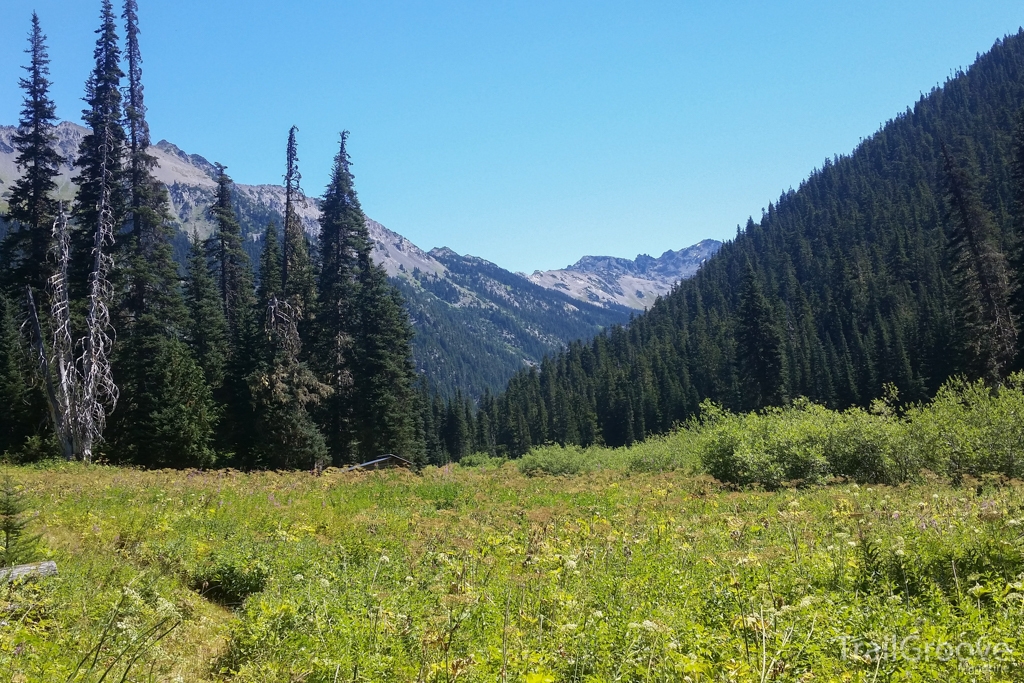 Meadow and Olympic Mountain View