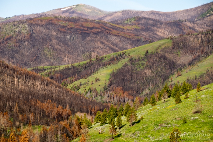 Trail Maintenance on Lewis and Clark Pass Montana