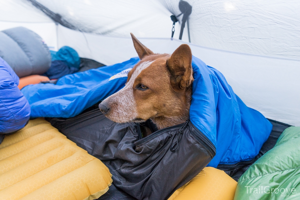 Nunatak Dog Bivy  - Sleeping Bag Review