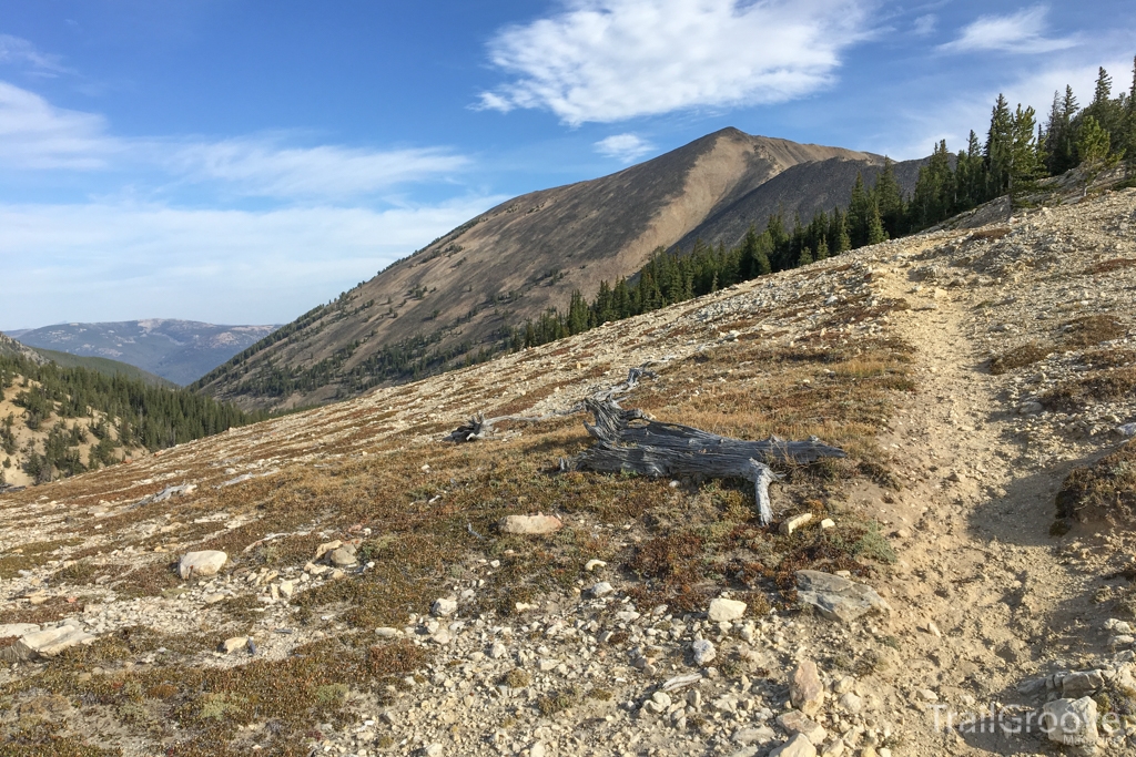 Hiking Trail in the Pioneer Mountains