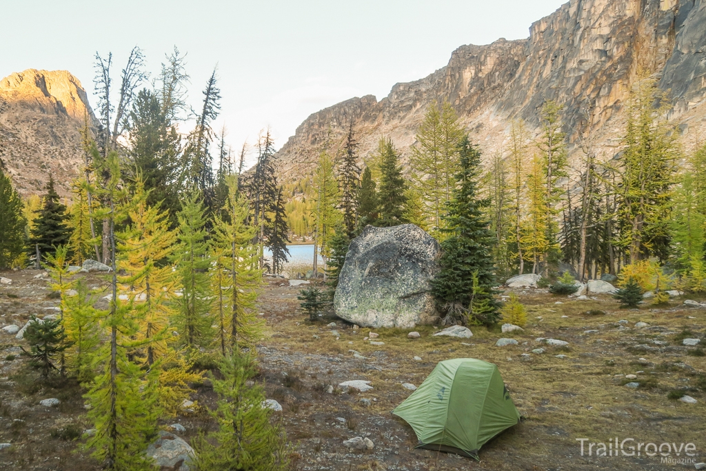 Backpacking During Larch - larix lyalli Season