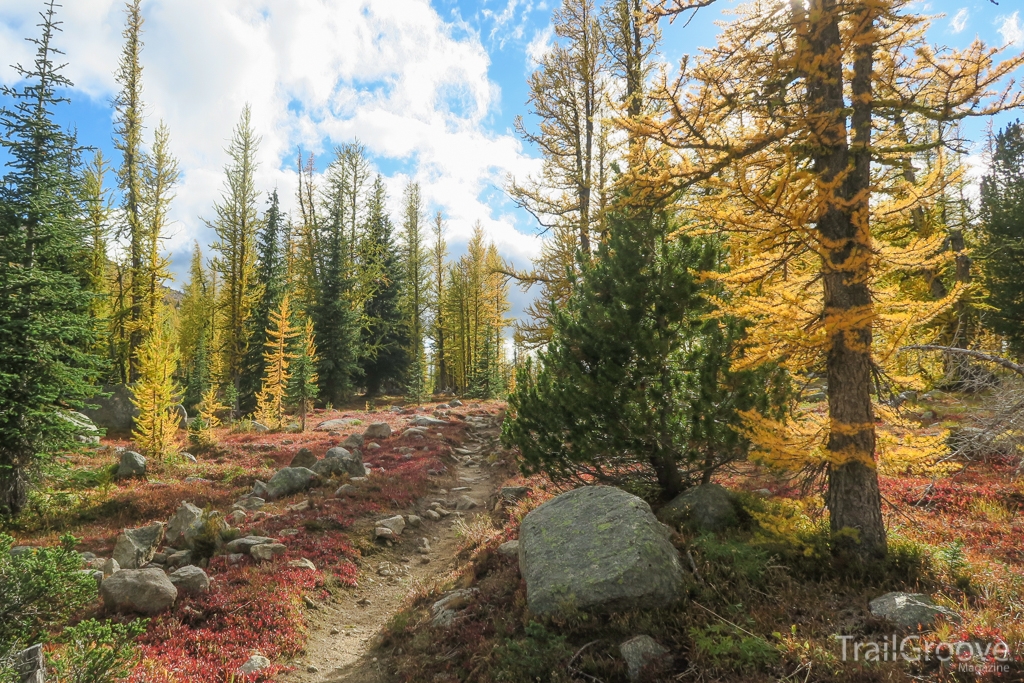 Hiking during Larch Season in the Northern Rockies