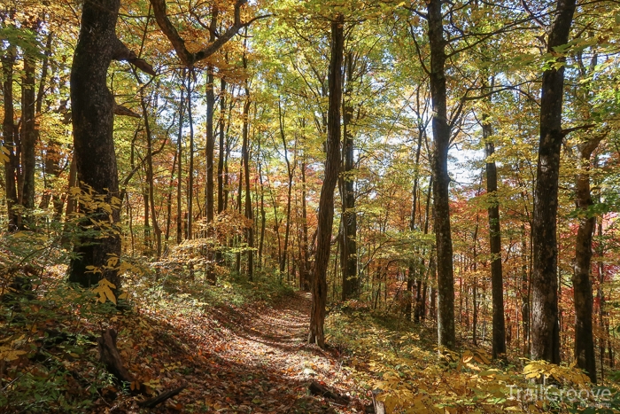 A 3 Day Backpacking Loop in Great Smoky Mountains National Park