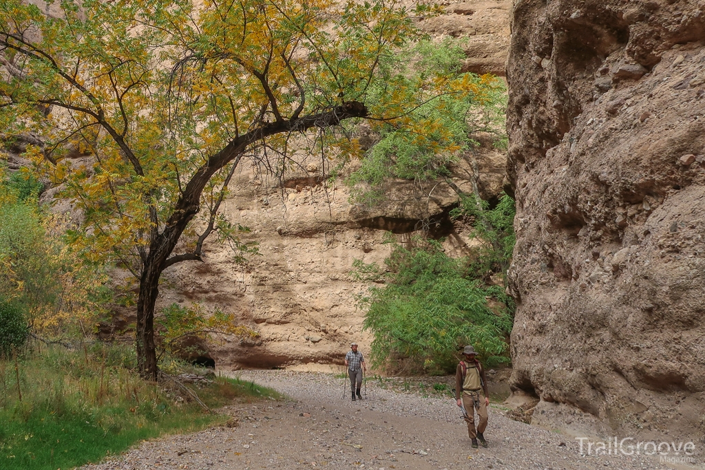 Fall Color in the Canyon