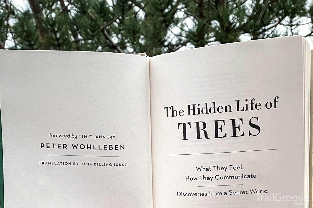 Hidden Life of Trees Book Review