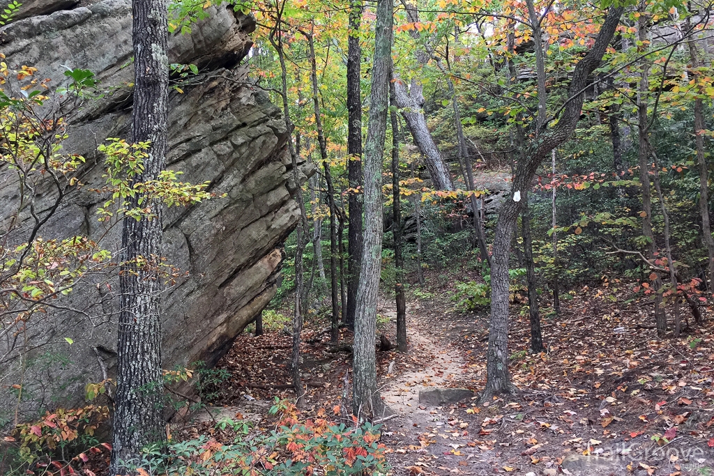 Fall Hiking on the Sheltowee Trace