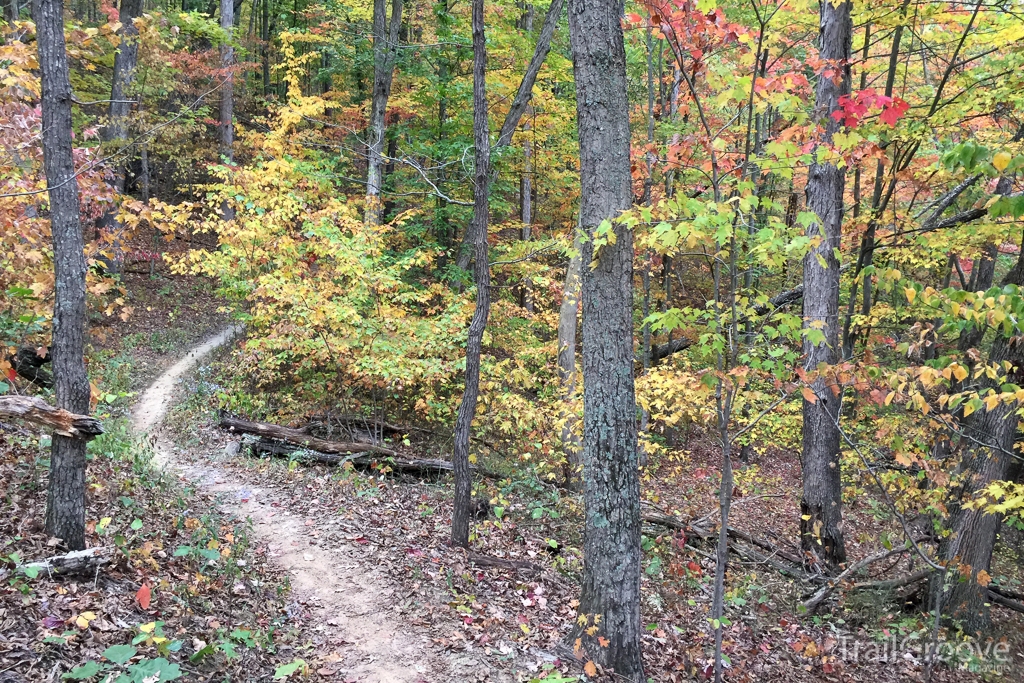 Hiking the Sheltowee Trace Trail