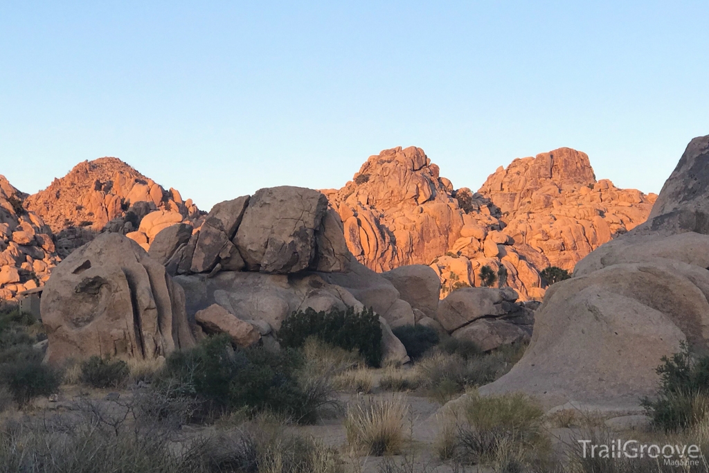 Hiking in Joshua Tree