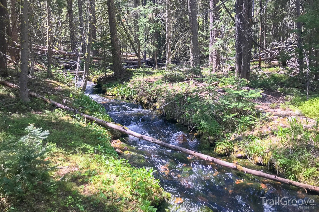 Stream Along the Hiking Trail