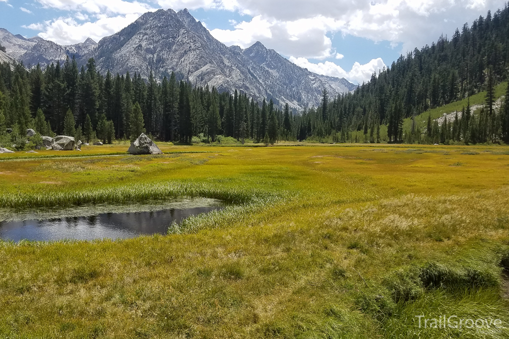 Meadow on the JMT (John Muir Trail)