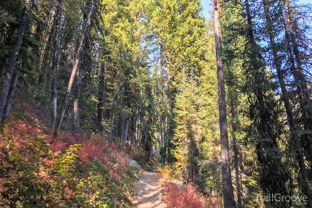 Bitterroot National Forest Backpacking