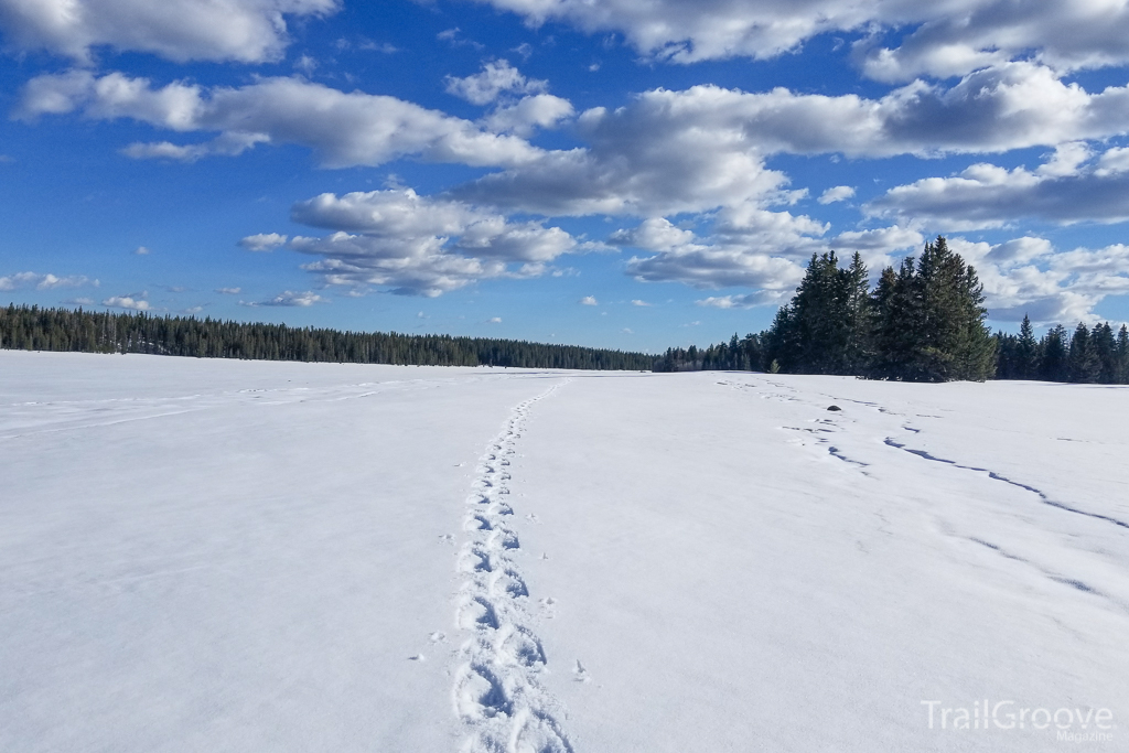 Thru-hiking the Route in Between Trail