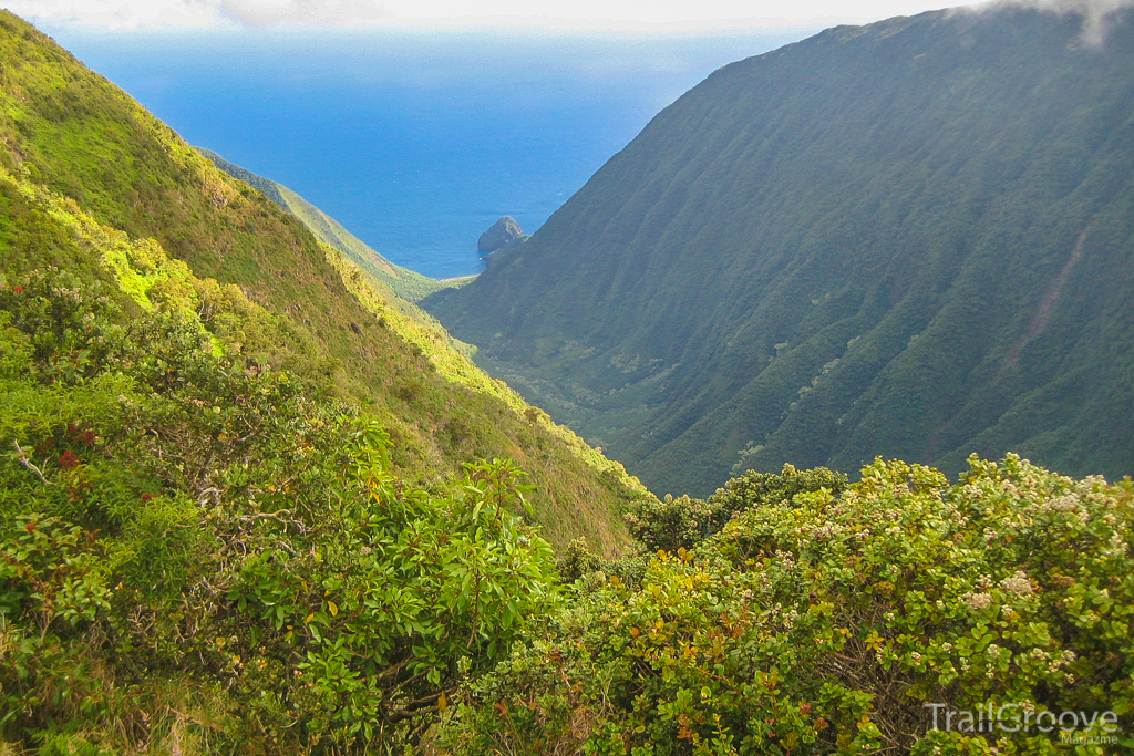 Hiking the Wailau Trail - Lost in a Hawaiian Jungle