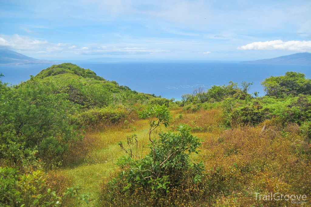 Hiking in the Wailau Valley Hawaii