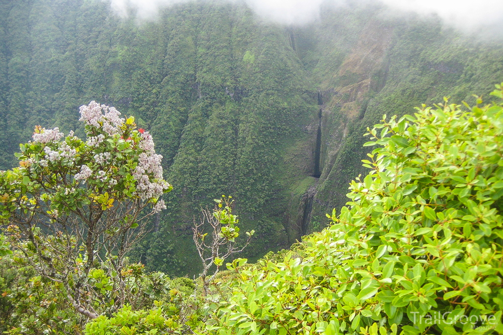 Along the Wailau Trail in Hawaii