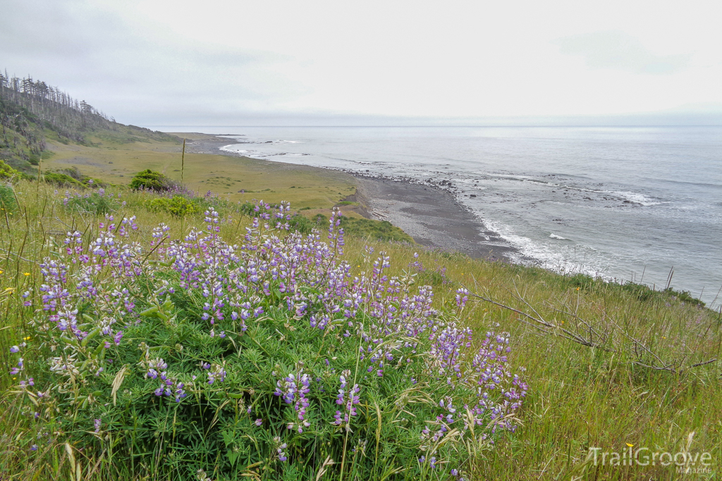 Lost Coast Hike