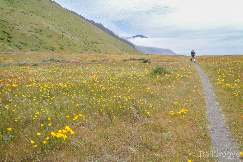 Hike on the Lost Coast Trail