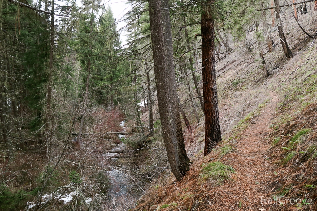 Trail Along Creek in Welcome Creek Montana