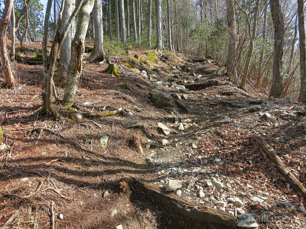 As you make your way to the top of Mt. Kirimogamine, the path slopes ever upward