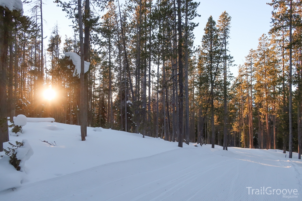 Ski Trail Near Chief Joseph Pass